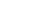 Diniz Holding